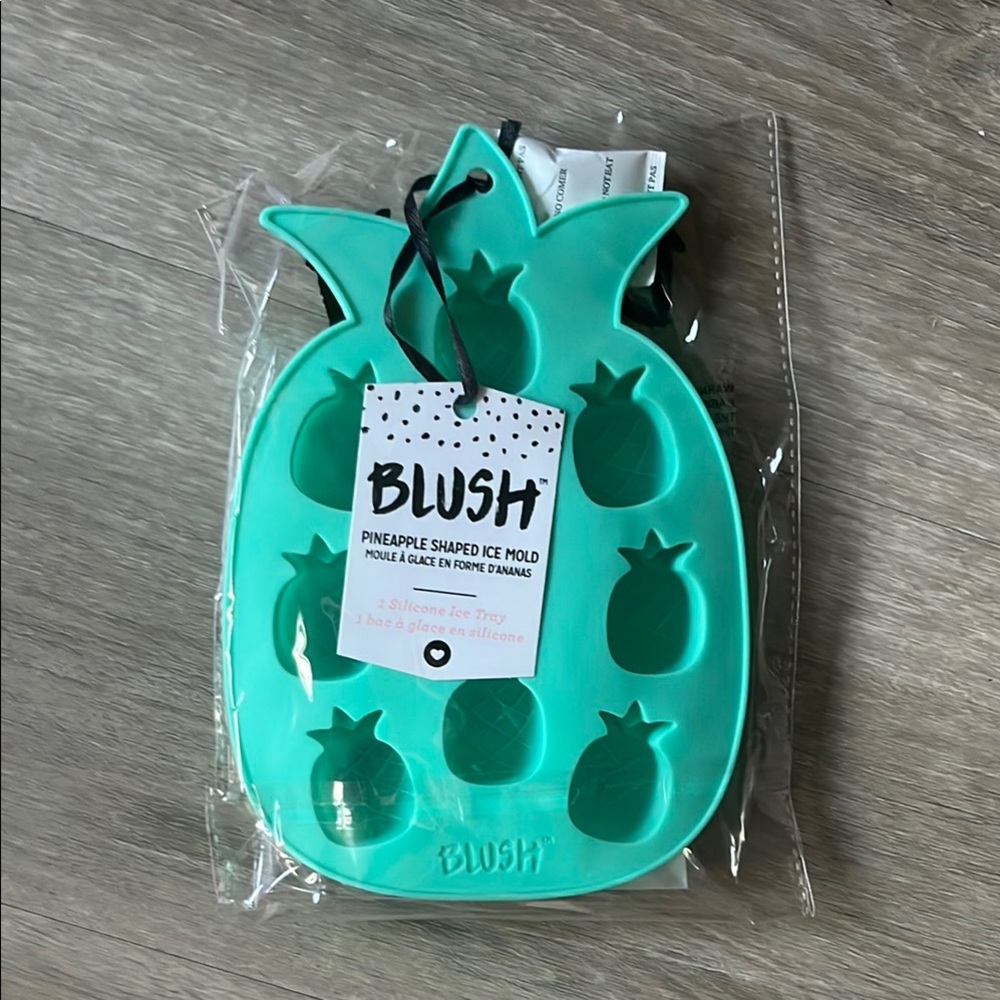 Blush Teal Pineapple Ice Tray